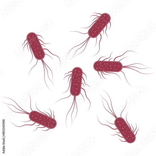 Salmonella Bacterium Icon