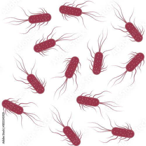 Salmonella Bacterium Icon