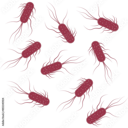 Salmonella Bacterium Icon