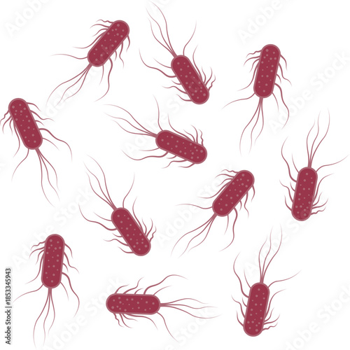 Salmonella Bacterium Icon