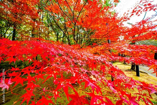 日田市西有田の紅葉