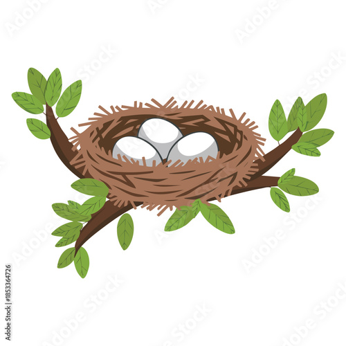 Bird nest illustration with eggs vector isolated design perfect for nature wildlife themed backgrounds educational materials and seasonal decoration