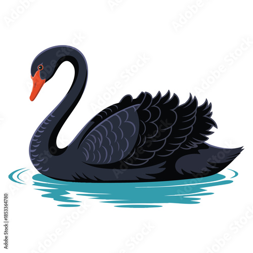 Black swan in the water illustration isolated on white background vector design element perfect for wildlife bird nature or decorative creative artwork