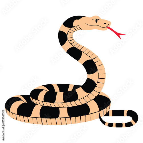 California king snake with black and white bands cartoon large reptile with tongue out colorful wild serpent non venomous creature flat vector design