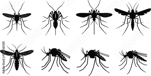 Mosquito silhouettes collection set, flying insect pest icons, disease carrier vectors, black vector illustration for medical, tropical, pest control design