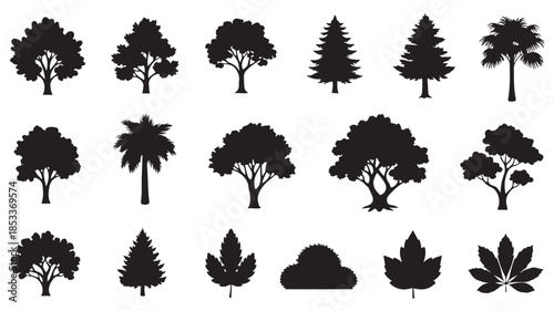 Black Tree Silhouettes on White Background