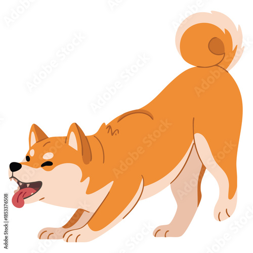 Cute fluffy Shiba Inu dog barking vector illustration from Japan perfect for pet animal design character cartoon or creative themed illustrations