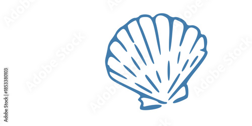 Elegant blue scallop shell illustration on white background