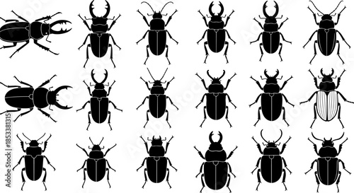 Beetle insect silhouette vector collection featuring scarab, stag beetles, and bug shapes, black entomology icons set for nature study, education, 