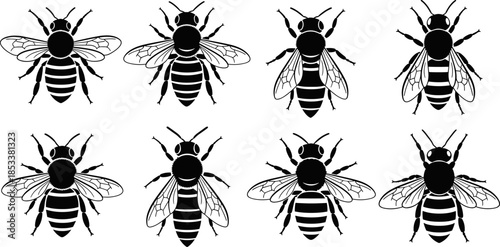 Bee silhouettes vector collection, flying honey bee illustrations set, detailed insect icons in black style for nature, ecology, agriculture, and logo design