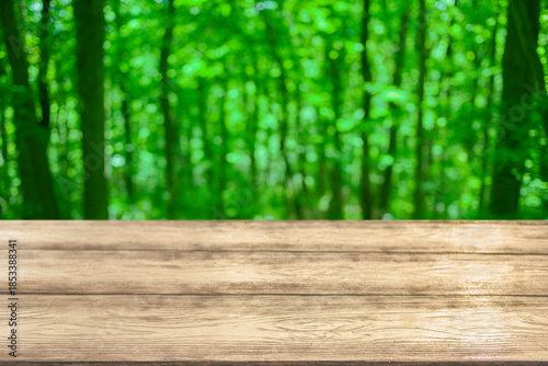 森のテーブル　背景