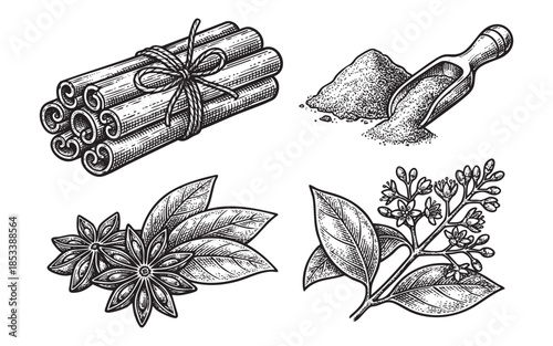 Vintage Cinnamon and Spices. Hand Drawn Anise and Cloves.