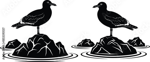 Black seabird silhouette illustration of seagulls standing on coastal rocks, minimal vector wildlife design isolated for marine branding projects artwork