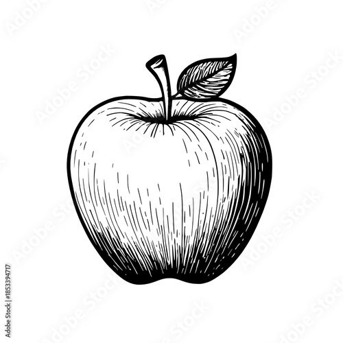 apple sketch on white illustration