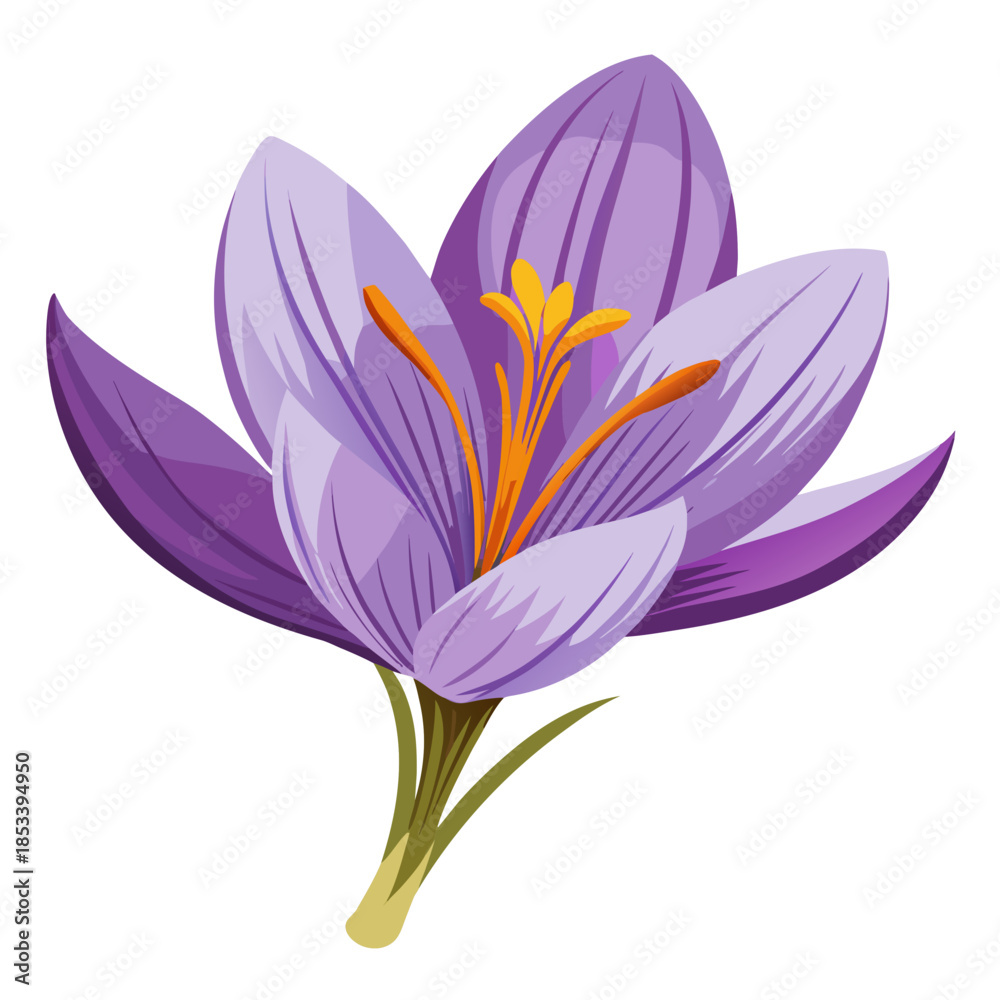 Naklejka premium Vibrant purple crocus flower in full bloom