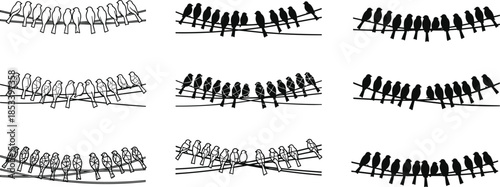 Birds on wire, silhouette vector, social interaction, black and white illustration, minimal design, perched birds, artistic composition, group behavior