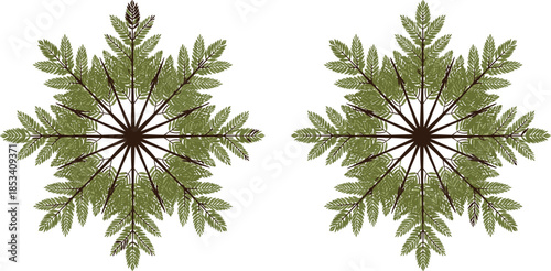 Botanical mandala illustration, symmetrical leaf design, fern pattern, radial plant art, nature-inspired graphic, green foliage, decorative element, organic symmetry
