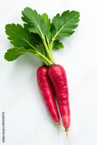 Fresh ginseng root, vibrant, clean, white backdrop , studio shot, detail