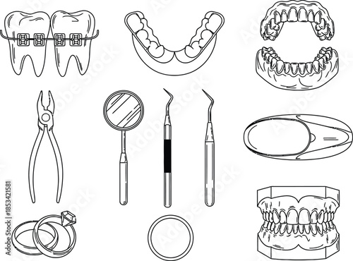 A detailed illustration showcasing dental tools orthodontic appliances like braces and anatomical representations of teeth for dental healthcare high quality professional