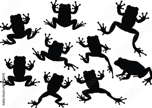 A whimsical depiction of several black silhouettes of frogs jumping and positioned dynamically across a clean white background high quality professional
