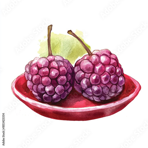 Two ripe dark purple blackberries on red plate.