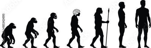 Human evolution silhouette vector, primate to modern man, cognitive development, tool usage, anthropology concept, black illustration, scientific timeline graphic