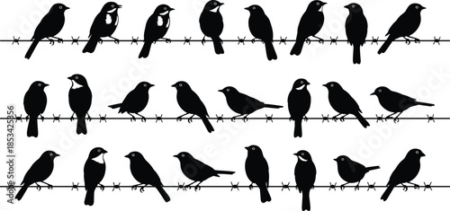 Black bird silhouettes perched on barbed wire, minimalist wildlife vector illustration set, monochrome nature concept design for creative projects branding posters