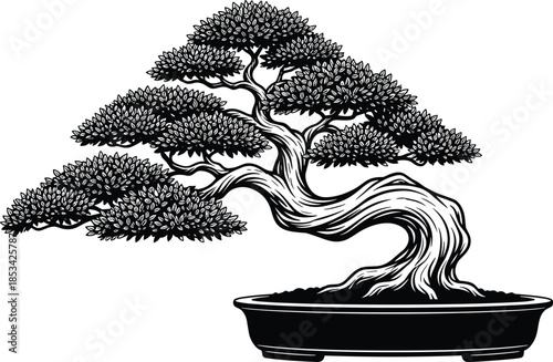 Elegant bonsai tree illustration in traditional pot isolated on white background representing zen garden art, nature balance, mindfulness, patience, and botanical harmony