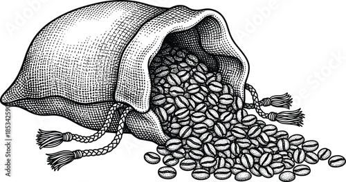 Vintage hand drawn engraving of burlap sack filled with roasted coffee beans spilling out onto white background for organic cafe branding