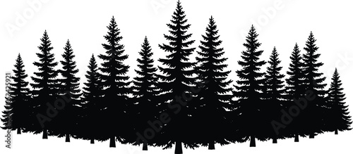 Monochrome black vector silhouette illustration of a dense, stylized coniferous forest line, perfect for nature backgrounds, outdoor logos, and wilderness landscape design elements
