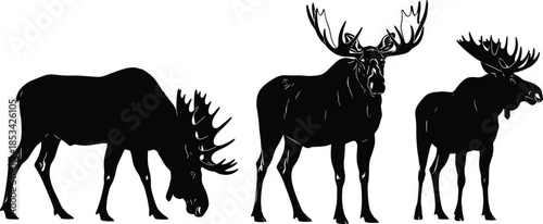 Moose silhouette vector illustration set, wild elk animals in different poses, black isolated wildlife design for nature, forest, hunting concepts