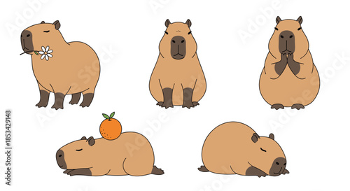 A cute and funny set of five capybara illustrations in various poses, including sitting, sleeping, and balancing an orange on its head. This adorable cartoon animal vector collection is isolated.