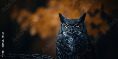 Wallpaper Mural Perched bird prey fall season birding seasonal tree branch owl wildlife animal nature forest autumn leaf brown leaves foliage colorful watching alert eye head beak feather natural light outdoors Torontodigital.ca