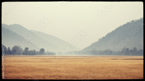 Golden grass field misty valley with distant tree line