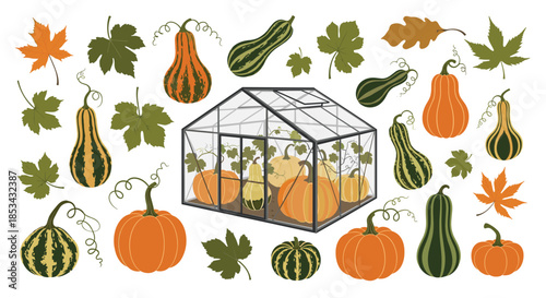 Autumn harvest collection featuring a greenhouse full of pumpkins surrounded by various gourds and colorful fall leaves illustration.