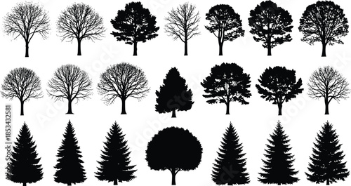 WebA diverse vector collection of twenty-one detailed black tree silhouettes representing various species like pine, oak, and fir for graphic design and nature projects.