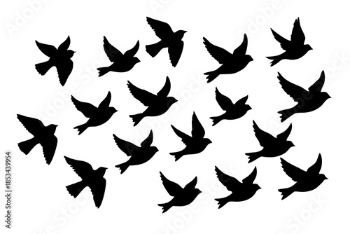 Bird flying flock silhouette vector illustration isolated on white background