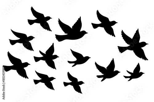 Bird flying flock silhouette vector illustration isolated on white background