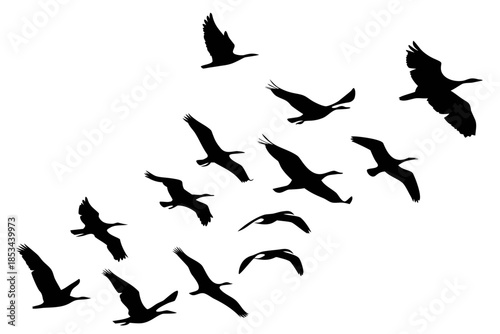 set of Bird flying flock silhouette vector illustration isolated on white background