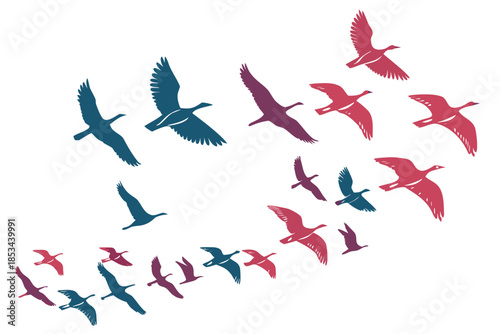 Bird flying flock silhouette vector pack illustration isolated on white background