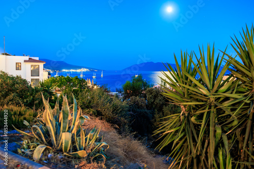 Photos Night landscape of the Aegean coast with a full moon and lush vegetation