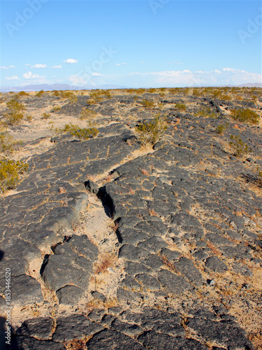 Volcanic rock scatters the center of Amboy Crater in the deserts of southern California