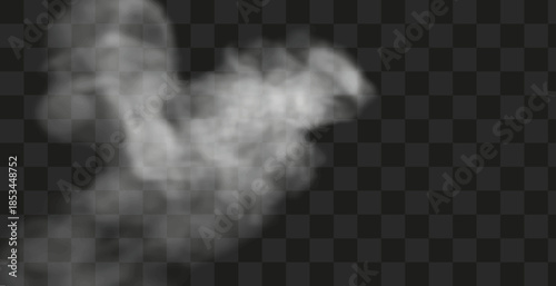 White smoke cloud isolated on transparent background. Vector smoke or fog.