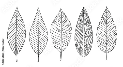 Set of five hand-drawn leaves with various intricate zentangle and line patterns, perfect for coloring books and decorative designs.