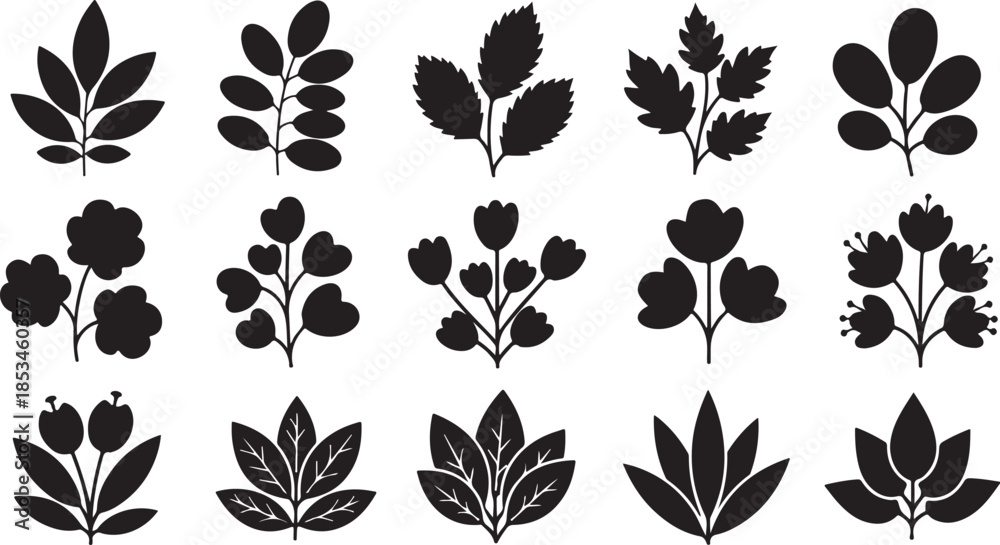 Obraz premium Black silhouettes of various flowers and leaves