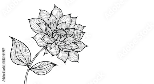 An intricate black and white illustration of a flower with many layered petals and two leaves on a stem.