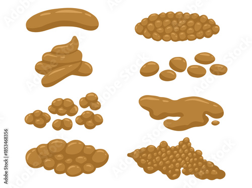 Various Types Human Feces Illustration