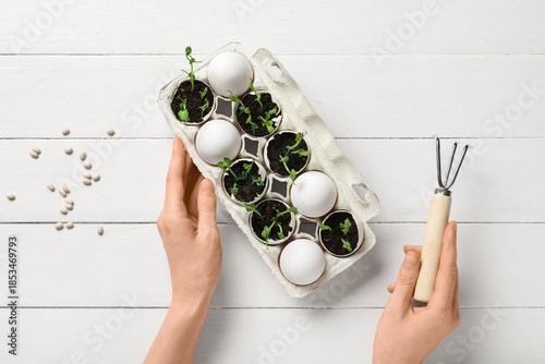Female hands with egg shell...