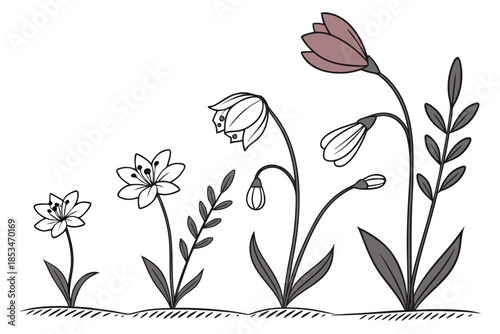 Flower Growth Stages Illustration  Flat Vector  Pu (2) Vector Illustration
