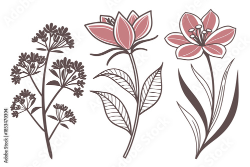 Nature Inspired Floral Icons  Clean Vector Art  Pu Vector Illustration